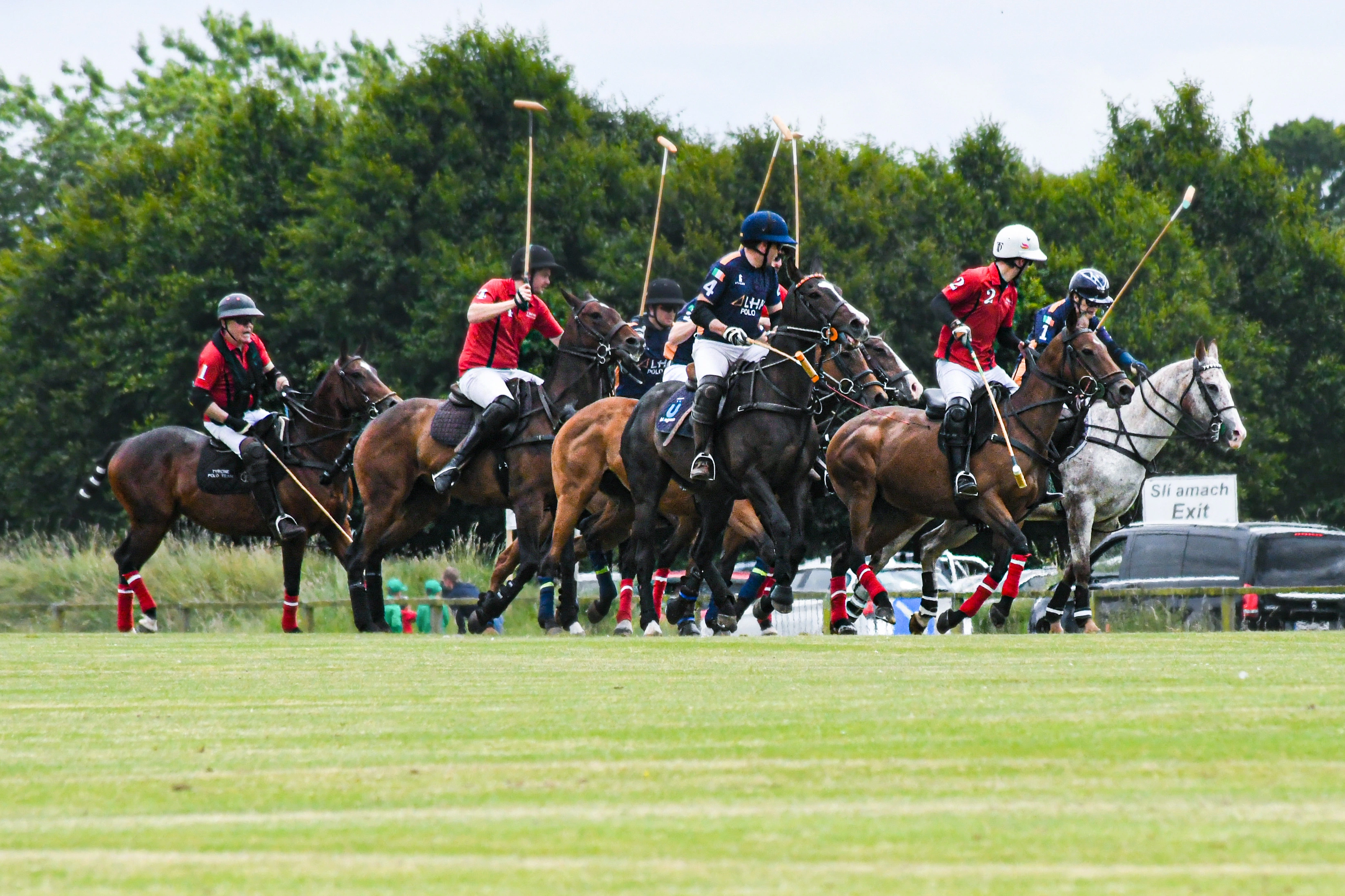 Polo Action